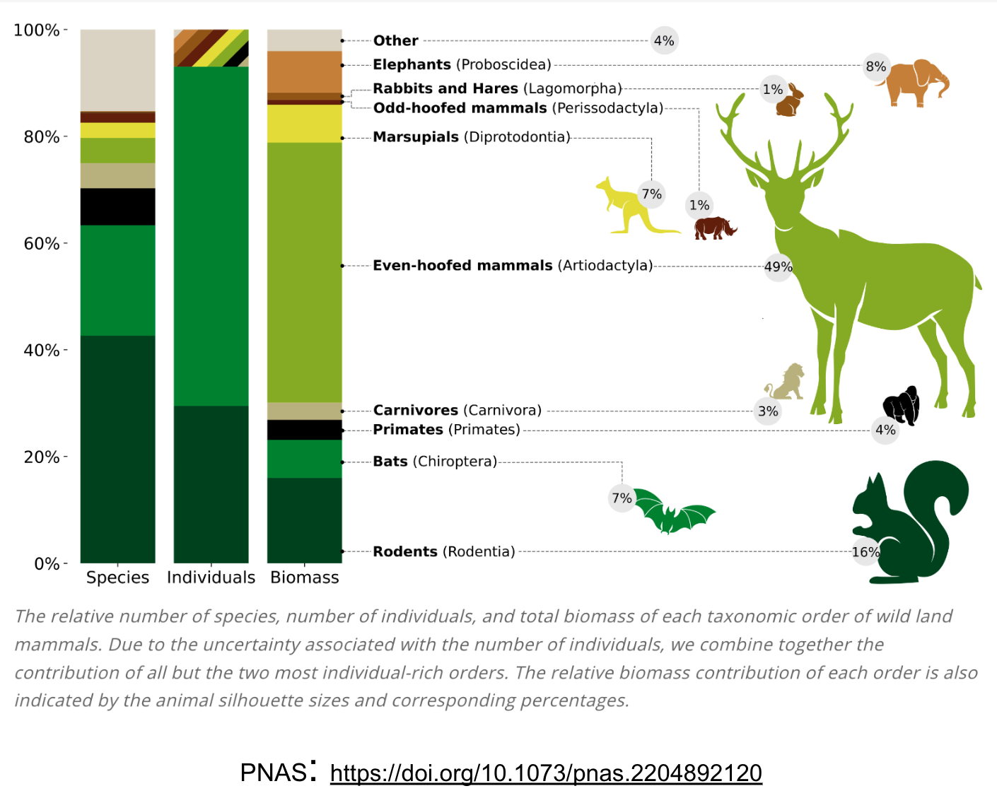 Rodents weigh more than elephants?!